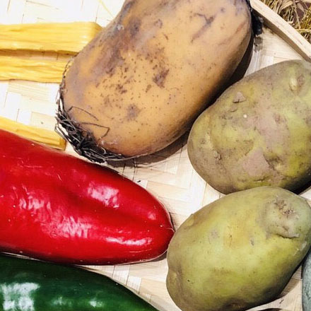 國內城市標識設計公司