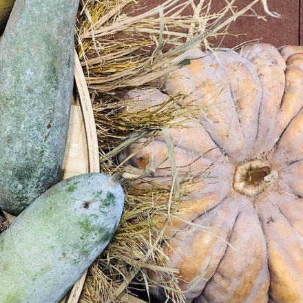 導視系統設計作品案例展示