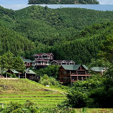 品牌設(shè)計(jì)作品案例展示