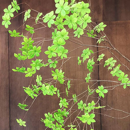 生產(chǎn)制作作品案例展示